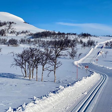 Bruksvallarna - Modern fjällstuga med panoramautsikt och WiFi Exteriör bild