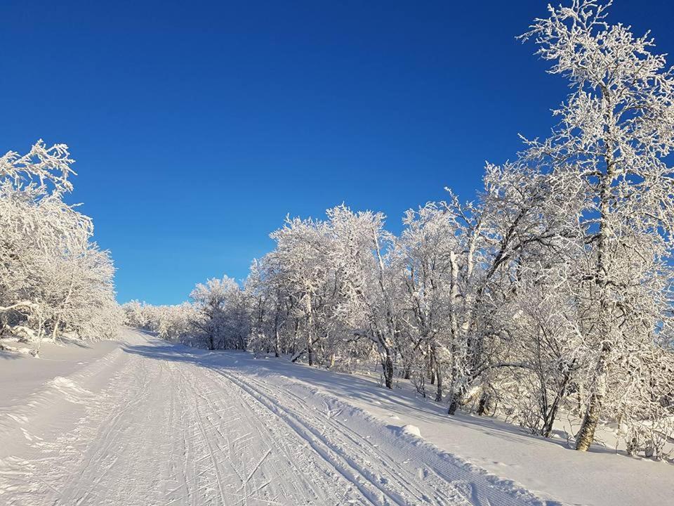 Bruksvallarna - Modern fjällstuga med panoramautsikt och WiFi Exteriör bild