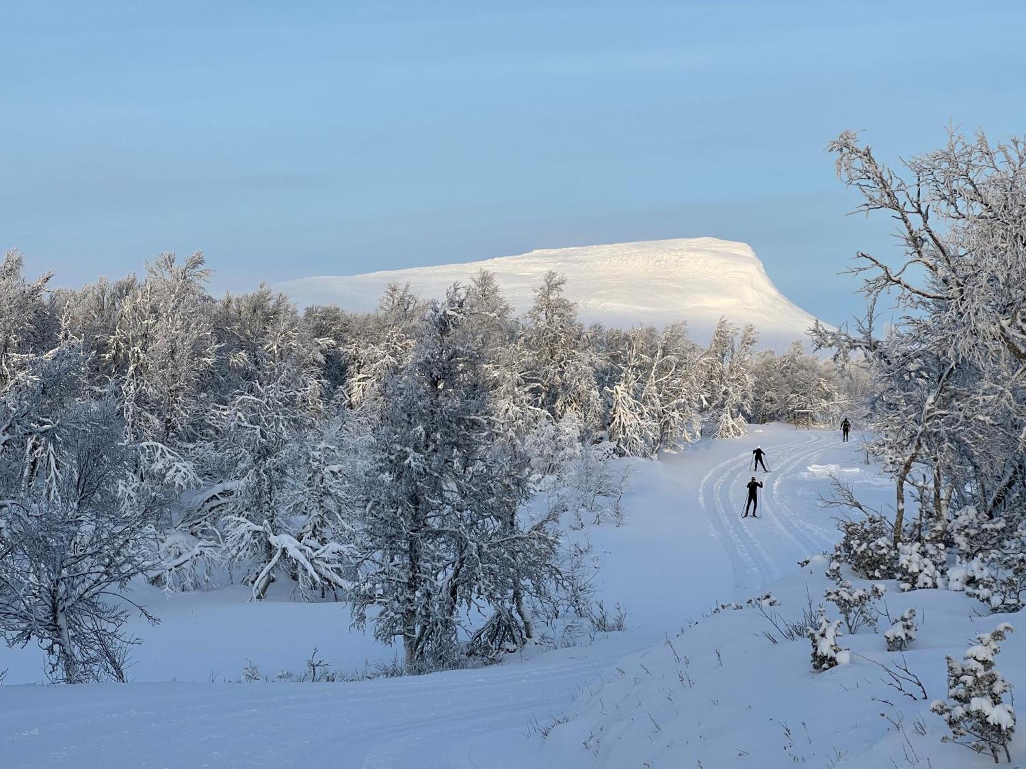 Bruksvallarna - Modern fjällstuga med panoramautsikt och WiFi Exteriör bild